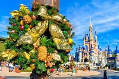 PHOTOS: Disney World Updates TWO Fan-Favorite Attractions