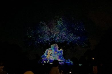 PHOTOS, VIDEO: Holiday Tree of Life Awakenings Return to Disney’s Animal Kingdom