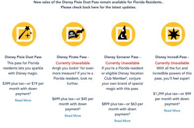 Walt Disney World Suspends Annual Pass Sales as 2021 Holiday Season Approaches