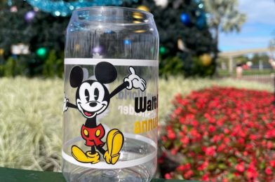 Walt Disney World Annual Passholder Exclusive Cup to be Available at the EPCOT International Festival of the Holidays