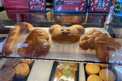 PHOTOS: Candy Cane, Snowman, and Christmas Tree Sourdough Breads Come Home for the Holidays to Pacific Wharf Café in Disney California Adventure