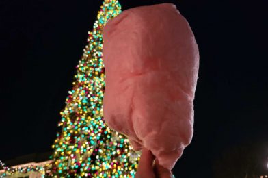 REVIEW: New Cinnamon Cotton Candy is a Well-Balanced Treat for the Holidays at Disneyland