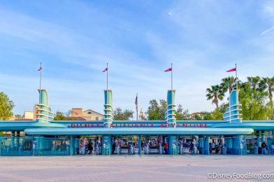 REVIEW: Disney Just Unlocked a Fun Thanksgiving Treat: Chicken Wings with Cranberries