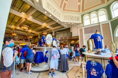 6 Things Disney Sells Online That You WON’T Find In the Theme Parks!