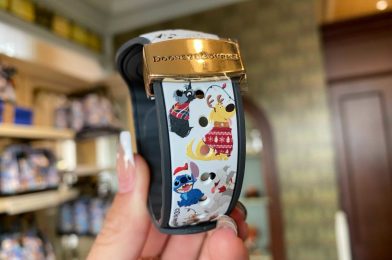 PHOTOS: New Limited Edition Dooney & Bourke Holiday Dogs MagicBand at Walt Disney World