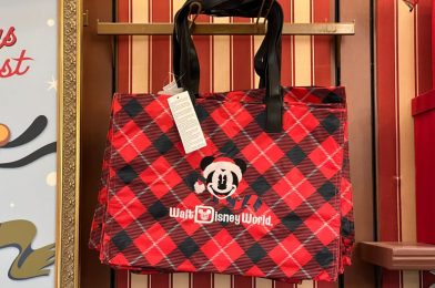 PHOTOS: New Holiday Tote Add-On Purchase Available at Walt Disney World