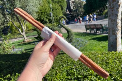 REVIEW: Cinnamon Chocolate Churro is a Must-Have Holiday Treat at Disneyland Park