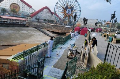 PHOTOS: Railings Being Repainted at Paradise Park in Disney California Adventure