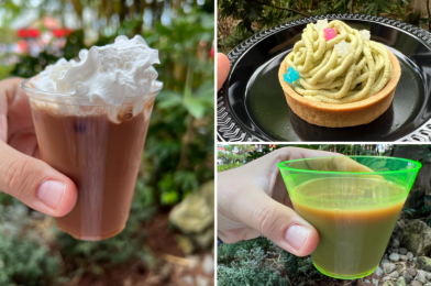 REVIEW: Delicious Food But Disappointing Boba and Tokyo Banana Drinks at Shi Wasu Holiday Kitchen for the 2021 EPCOT International Festival of the Holidays