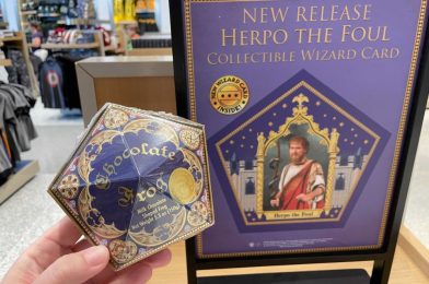 PHOTOS: New Collectible ‘Harry Potter’ Wizard Card Available in Chocolate Frogs at Universal Orlando Resort