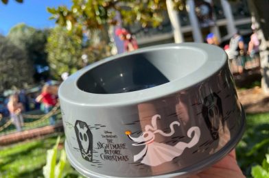 PHOTOS: Zero Bowl Now Available at French Market and Hungry Bear Restaurant in Disneyland Park