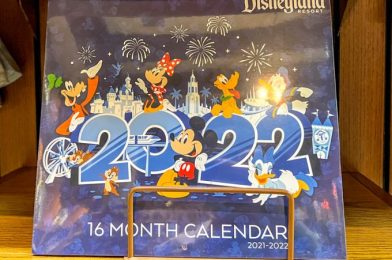 A NEW 2022 Disney Collectible Has Arrived Online!