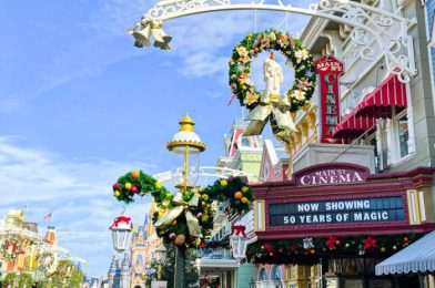 We’ve Been WAITING for These Minnie Ears to Come to Disney World!