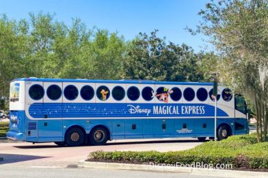 How Much the Magical Express Replacement in Disney World Will Cost You