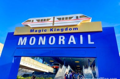 Our Trip on the Disney World Monorail Took Almost 45 Minutes Today — See What Happened