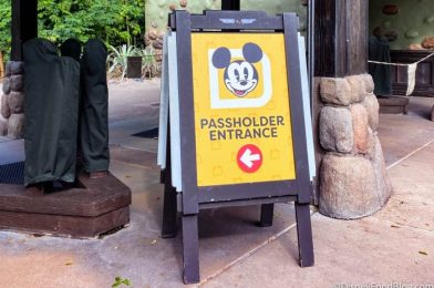 Disney World Sent Out Annual Pass Advertisements Despite Sales Being Put on Hold