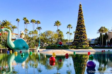 Read This If You’re Going to Disney World This December