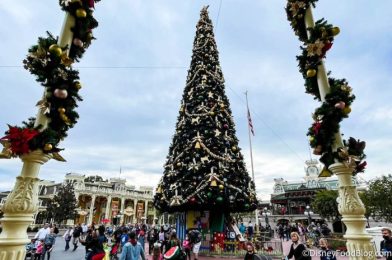 REVIEW: Disney World Said “Do Better.” This Treat Said “Absolutely.”