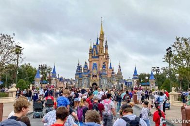 PHOTOS: See What the Holiday Crowds Are Like in Disney World This Week