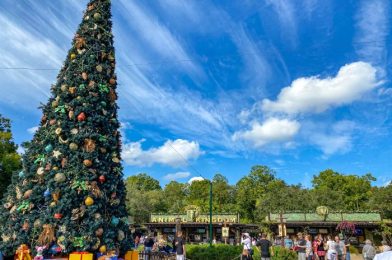 What’s New at Animal Kingdom: Disney Ears That Don’t Cost a Fortune, a SNOAP(!!) Wand, and More