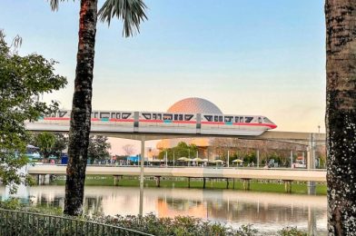 PHOTOS: A Disney World Monorail has Returned with an Updated Look!