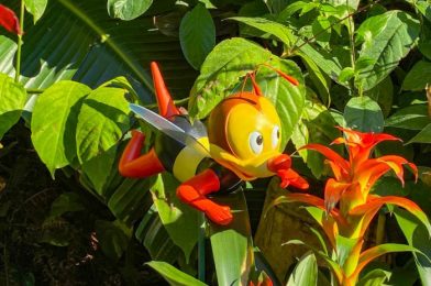 One EPCOT Spot Basically Told the Bees: “FINE, You Win!”