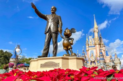 What’s New in Magic Kingdom: A Rare Princess Meet-and-Greet and Holiday Crowds