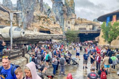 How a Foggy Day Makes It HARDER to Get to Magic Kingdom