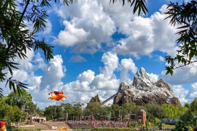 What’s New in Animal Kingdom: Yellow Snow (?!) and Star Wars Gingerbread Ornaments