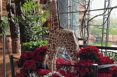 Ginger-Affe Arrives for the Holidays at Jambo House