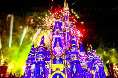 If You Could CHANGE Anything About Disney World, What Would It Be?