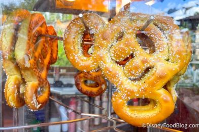 Lunch Service is BACK at Ale & Compass Restaurant in Disney World!