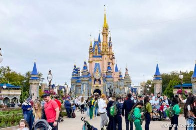 It Just Got EASIER to Connect to Friends & Family through Disney World’s App