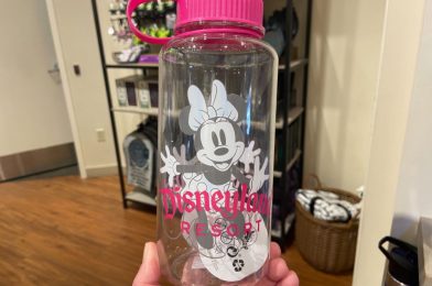 PHOTOS: New Minnie Mouse Water Bottle Now Available at Disneyland Resort