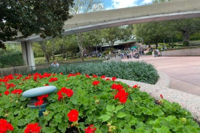 Beloved Innoventions Area and Original ‘The Land’ Pavilion Background Music Loops Retired for Singular ‘Spotify Playlist’ at EPCOT