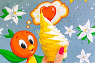 The Mysterious Citrus Swirl Saga Continues in Disney World