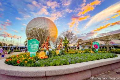 PHOTOS: EPCOT Flower and Garden Booths Already Spotted in Disney World