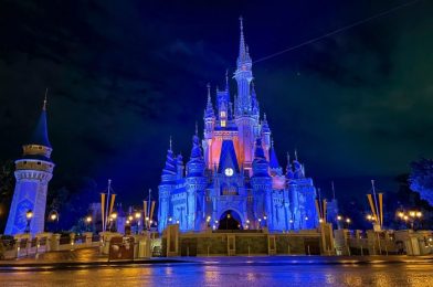 See Why Guests Were Inside Magic Kingdom at 5AM Yesterday