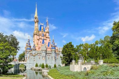 Should You Buy PhotoPass in Disney World? Here Are Some PROS and CONS.