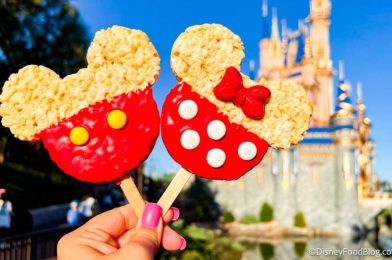 The Best Meals in Disney World For Under $15