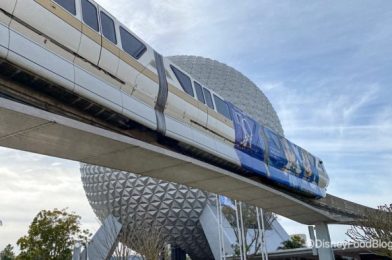 10 Construction Updates to Know About Before Your Next Trip to Disney World