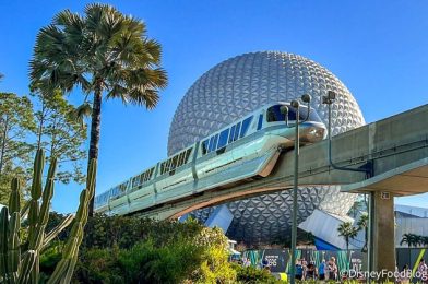 5 Unexpected Things to Happen in Disney World This Week