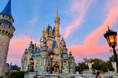 15 Disney World Tricks Only the Insiders Know