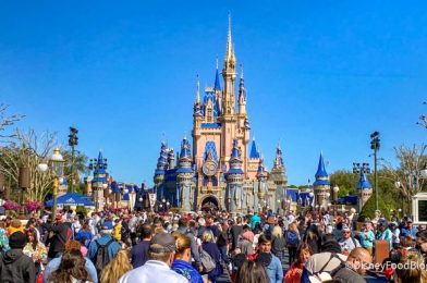 Things Are Changing in Disney World and We’ve Got the Construction Updates to Prove It!