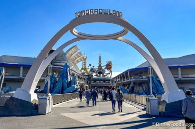 Photos and Video: See Tomorrowland Speedway Be Evacuated in Disney World