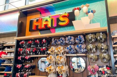 ANOTHER New Pair of Minnie Ears?! We Can’t Keep Up, Disney World!