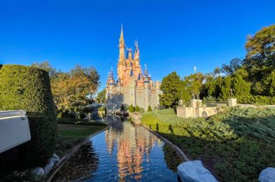 You Should Probably AVOID Magic Kingdom on One Day This May