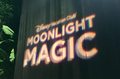 What To Know as Moonlight Magic Registration Returns