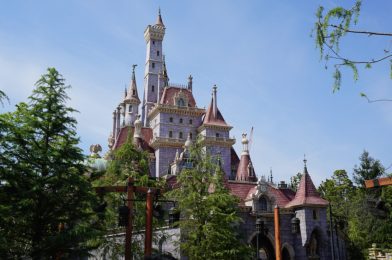 Tokyo Disney Resort Announces Attraction Refurbishments Through September 2022