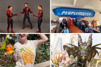 Flower & Garden Merchandise, ‘Spider-Man: No Way Home’ Digital and Home Release Dates, Showtimes for Festival of Fantasy, and More: Daily Recap (2/23/22)